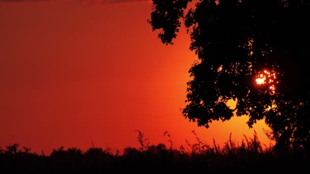 Силуэты Мбаппе на закате ездят по сельской местности — стоковое видео