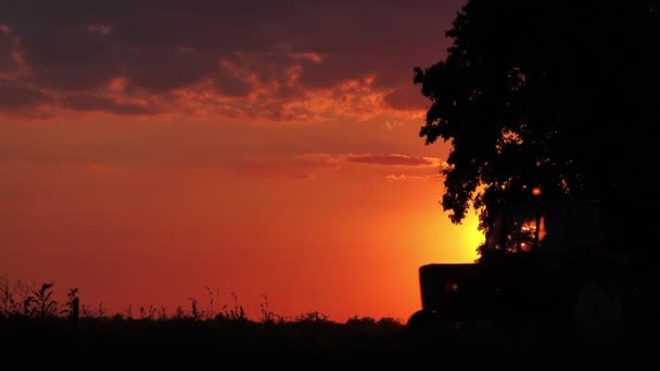 Trattore agricolo sul campo coltivato Ritorno a casa al tramonto — Video Stock