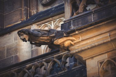 Prag saint vitus Katedrali gargoyle heykelleri