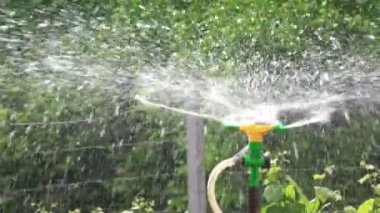 Sulama yağmurlama sulama sebze bahçesi