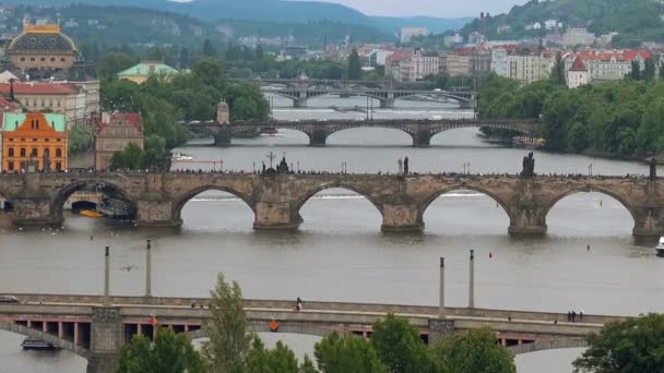 Hermosa vista panorámica de los puentes de Praga en el río Moldava desde el Parque Letna — Vídeo de stock