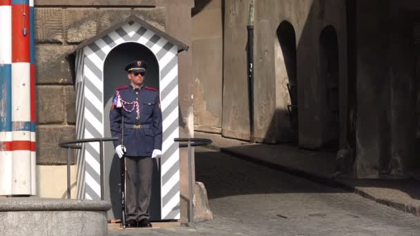Prague Castle Guard Standing Still — Stock Video
