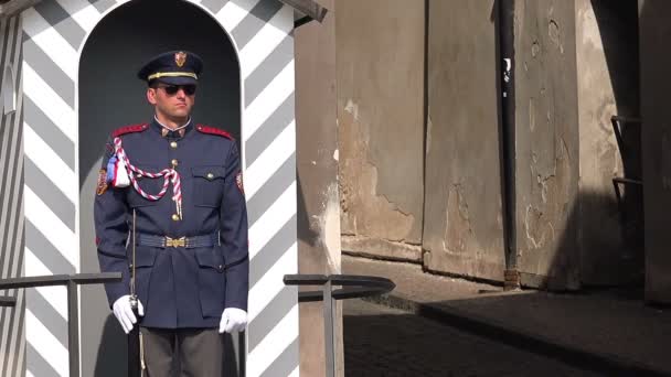 Η φρουρά του κάστρου της Πράγας στέκεται ακίνητη — Αρχείο Βίντεο