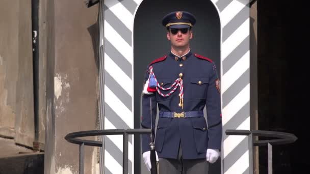 Prague Castle Guard Standing Still — Stock Video