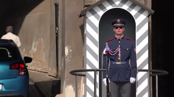 Pražský hradní stráž stojící stále se skupinou turistů — Stock video