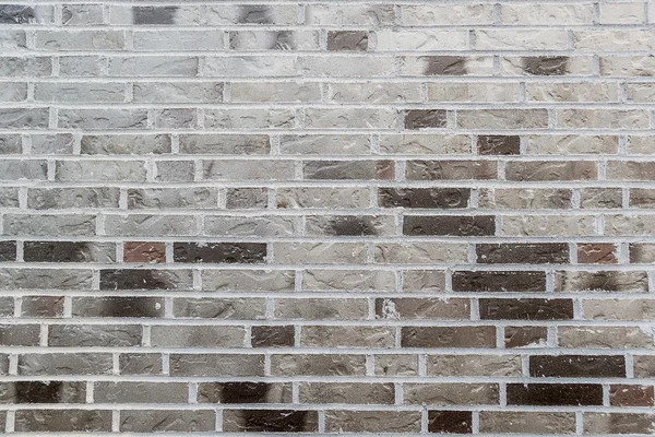 Gray Bricks — Stock Photo, Image