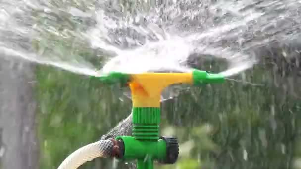 Irrigatie sprinkler drenken moestuin — Stockvideo