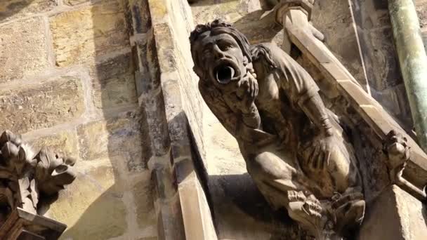 Prag saint vitus katedralen gargoyle statyer — Stockvideo