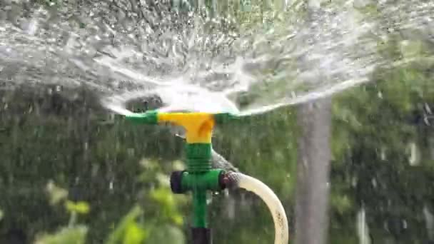 Irrigatie sprinkler drenken moestuin — Stockvideo