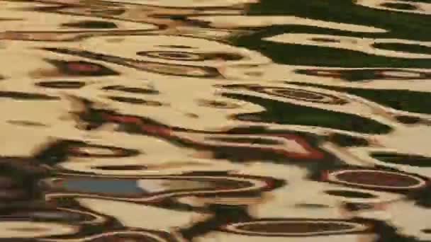 Pond Water — Stock Video