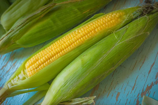 Nyplockade öra av majs, majs cob — Stockfoto