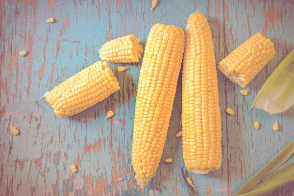 Świeżo zebranych ucho kukurydzy, kolby kukurydzy cukrowej — Zdjęcie stockowe