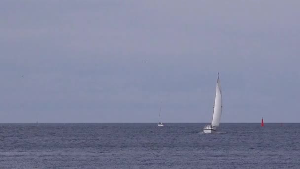 Liten segelbåt Yacht till sjöss, segelbåt Offshore Cruising — Stockvideo