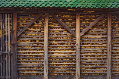 Mısır ahır çiftlik