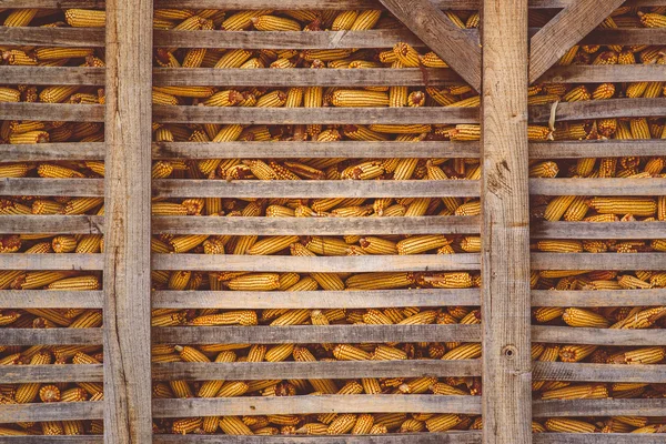 Celeiro de milho na fazenda — Fotografia de Stock