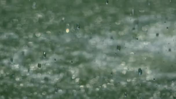 Heavy rain falling on water surface, water drops — Stock Video