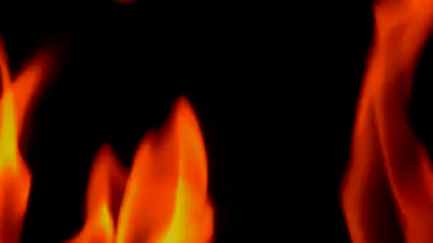 Fire flames burning on black background — Stock Video