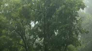 Yaz duş yağmur, yaz sezonu ağır yağmur fırtınası