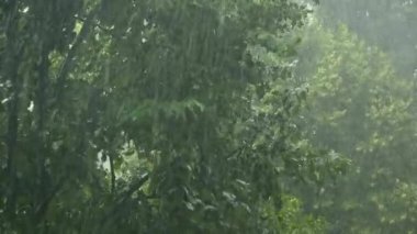 Yaz duş yağmur, yaz sezonu ağır yağmur fırtınası