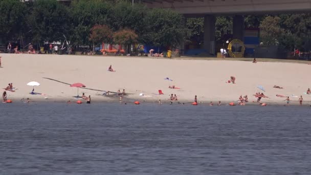 Ludzie na plaży. — Wideo stockowe