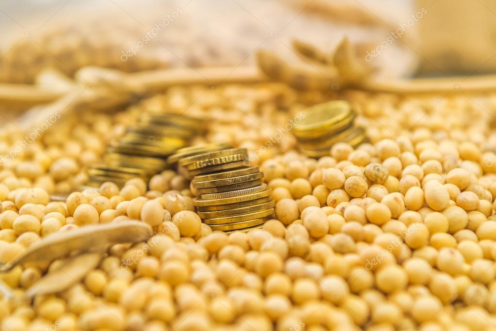 Profit from soybean cultivation — Stock Photo © stevanovicigor 82822244