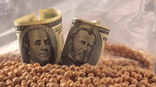 Zysk z uprawy soi w Stany Zjednoczone Ameryki — Wideo stockowe