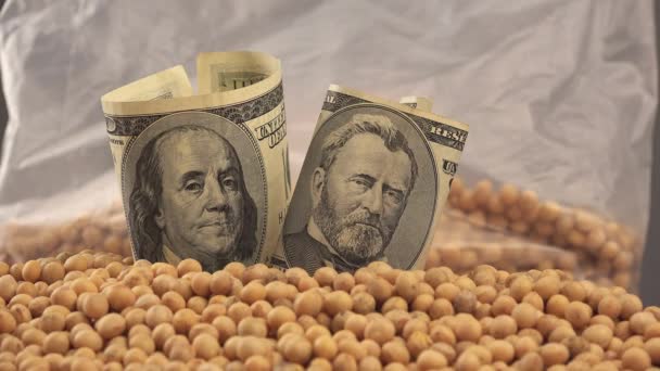 Beneficio del crecimiento de la soja en Estados Unidos — Vídeo de stock