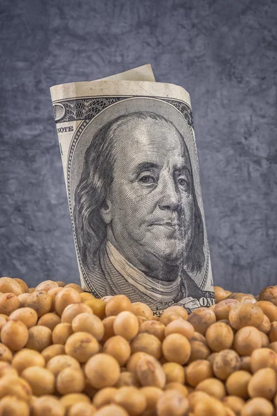 Profit from soybean cultivation — Stock Photo, Image