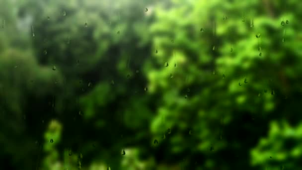 Raindrops on window — Stock Video