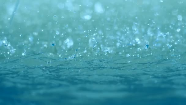 Water drops — Stock Video