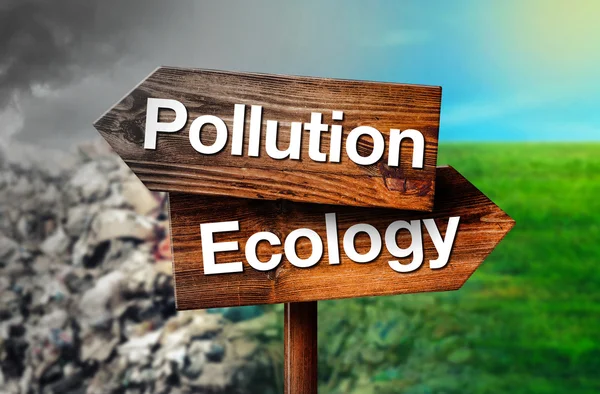 汚染や生態学の概念 — ストック写真