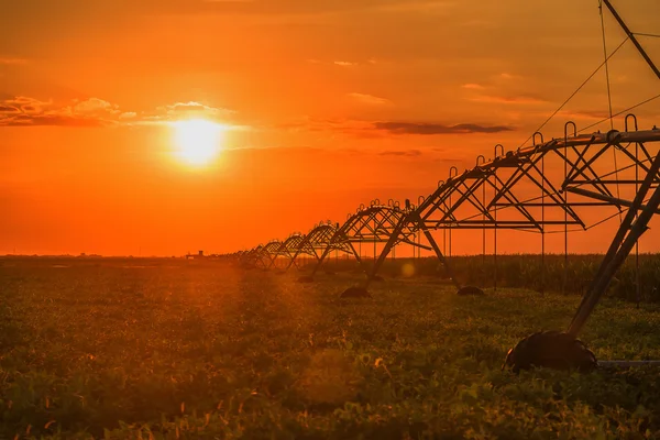Irrigação agrícola irrigação pivô aspersor — Fotografia de Stock