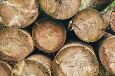 Firewood arranged in stacks on a farm as background as texture