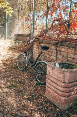 Düşmüş yaprakları ve paslı çitleri olan, sessiz, unutulmuş bir sonbahar anıydı. Seçici odak.