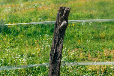 Çiftlik arazisinde eski ahşap kaplı çitlere yakın, kırsal dokusunu gösteren aşınmış ahşap tahtalar. Seçici odak.