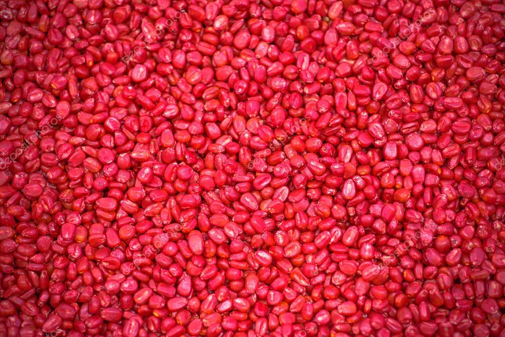 Red Corn Seed Stock Photo Image By C Stevanovicigor Red Corn Seed Stock Photo Image By C Stevanovicigor