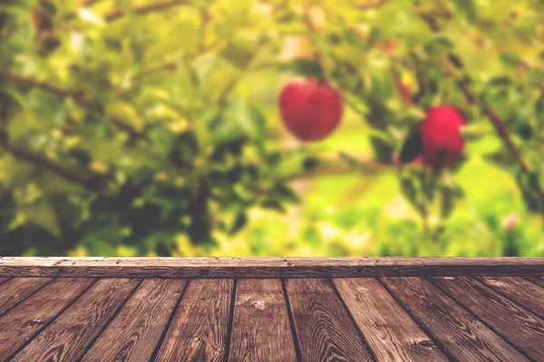Apfelplantage Hintergrund — Stockfoto