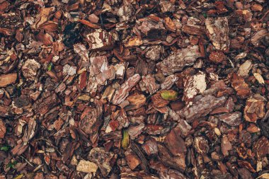 Sıcak doğal renklerde karışık ahşap gübre kabuğunun detaylı yüzeyi, doku arka planları, bahçe temaları ve çevre kavramları için ideal engebeli organik parçalar içerir. Üst görünüm.