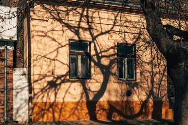 İki pencereli eski bir evin ön cephesinde dramatik kış ağacı gölgeleri belirdi. Sıcak güneş ışığı sanatsal kontrastı ve dokuyu oluşturdu. Seçici odak.