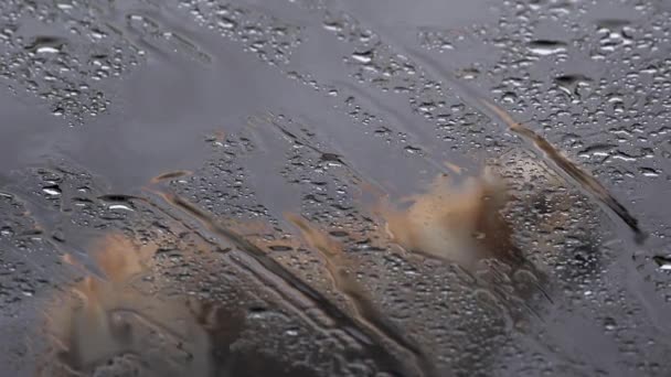 Opuštěné Labradorský retrívr venku na dešti — Stock video