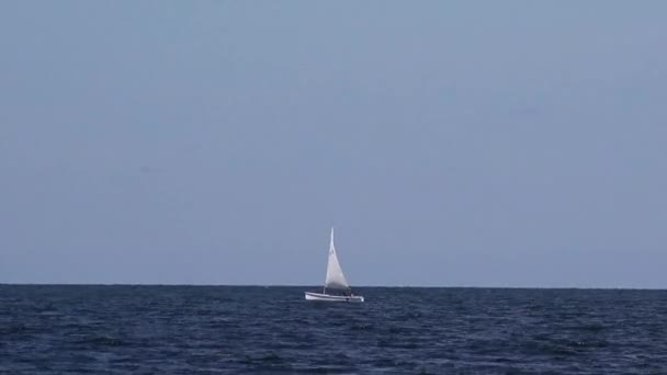 yachts