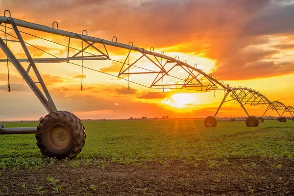 Sistema automatizado de irrigação agrícola ao pôr-do-sol — Fotografia de Stock