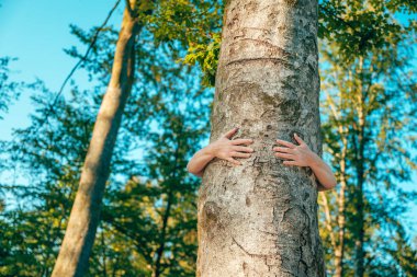 Ormanda ağaç sever. İnsan kollarının bir ağaca sarılması, ahengi, farkındalığı ve doğal dünyayla bağlantıyı ifade etmesi. Seçici odak.