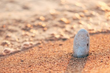 Gün batımında, yumuşak okyanus dalgaları ve arka planda köpüklü su ile altın plaj kumsalında dimdik duran pürüzsüz beyaz kaya. Doğal sahil manzarası, huzurlu ve minimal. Seçici odak.