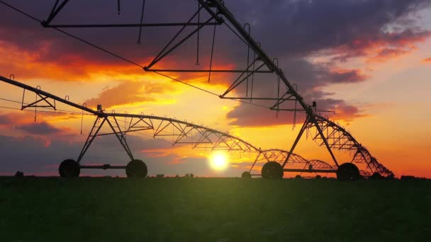 Sistema de irrigação automatizado no campo agrícola — Vídeo de Stock