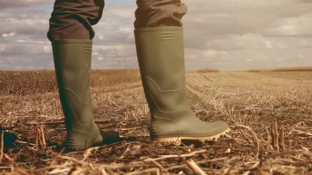 Agricultor caminando en tierra cultivable — Vídeo de stock