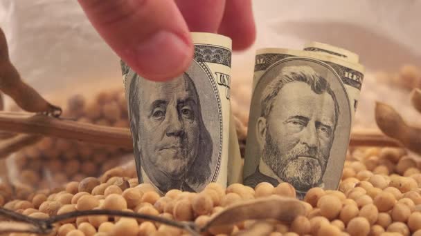 Человек получает прибыль от выращивания сои и сбора урожая в США — стоковое видео