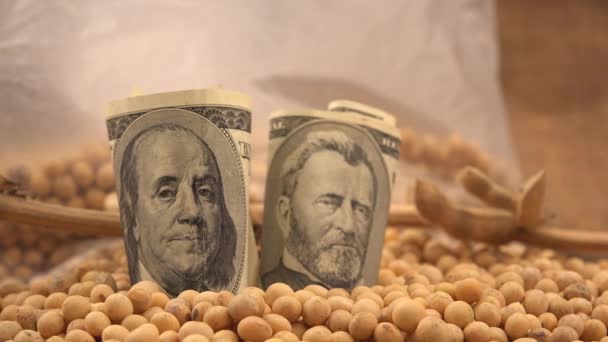 Gewinn aus Sojabohnenanbau und -ernte in den USA — Stockvideo