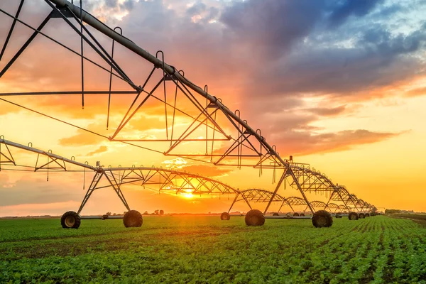 Système automatisé d'irrigation agricole au coucher du soleil — Photo