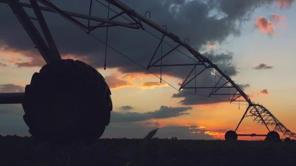 Sistema de irrigação agrícola no campo cultivado — Vídeo de Stock